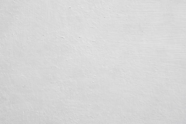 Reliable North Port, FL Mold Removal Solutions