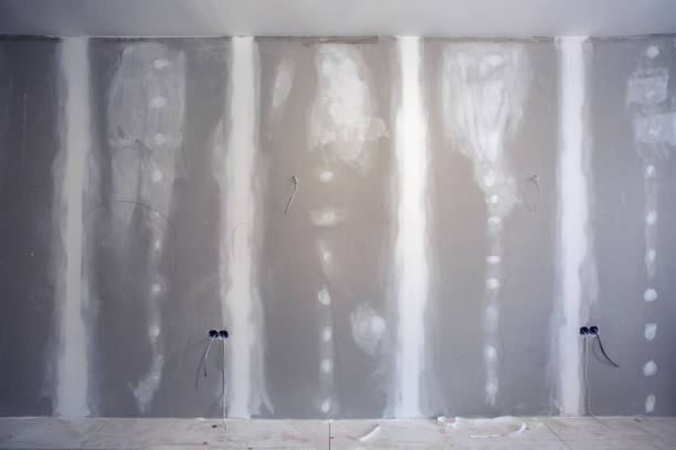 Best Mold Removal for HVAC Installations  in North Port, FL